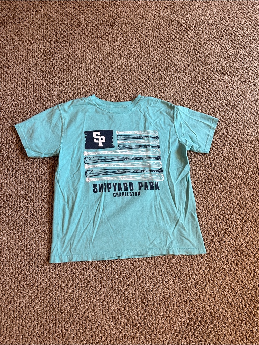 Shipyard Park Charleston Graphic Tee - Aqua